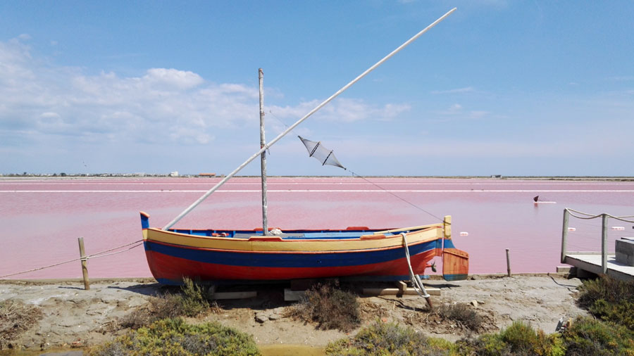 Salin de l'île Saint-Martin de Gruissan